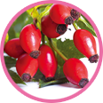 Rose Hip Oil