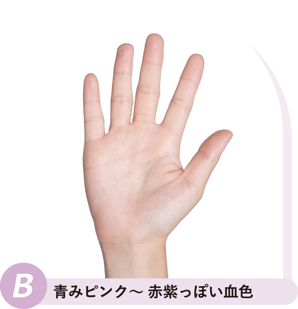 ⻘みピンク〜 ⾚紫っぽい⾎⾊