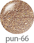 pun-66